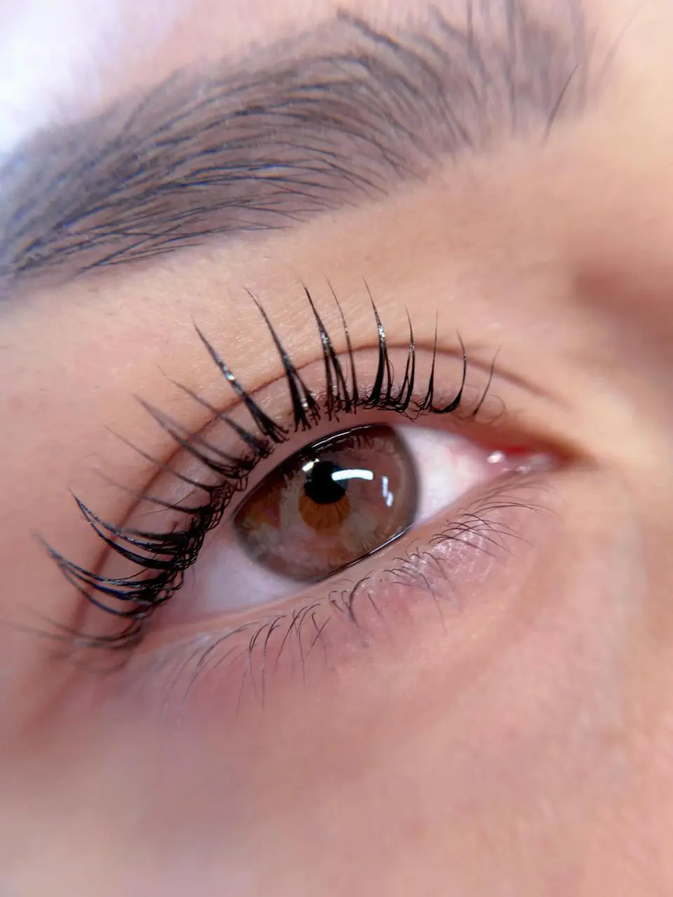 Lash Tint