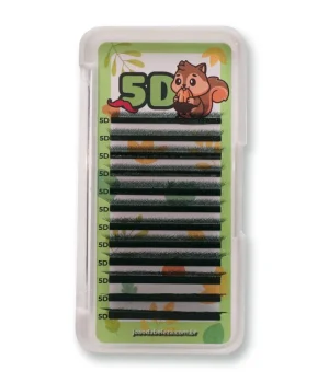 5D-W-L